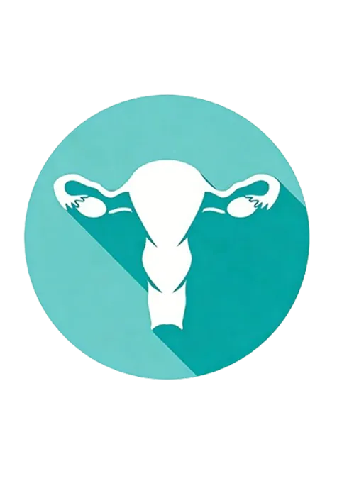 Gynecological Surgery