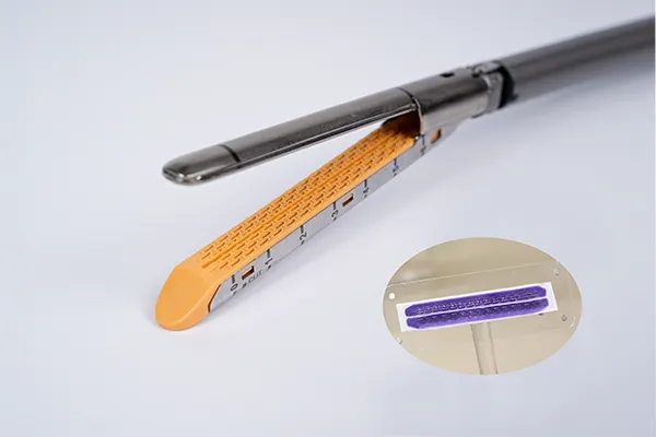 Endo Reload with Absorbable Reinforcement