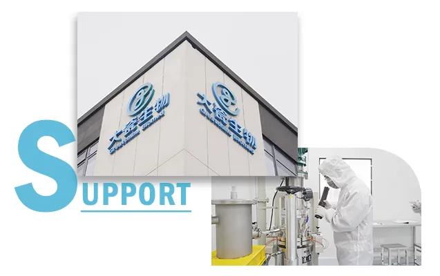 Quality Assurance & Support Statement