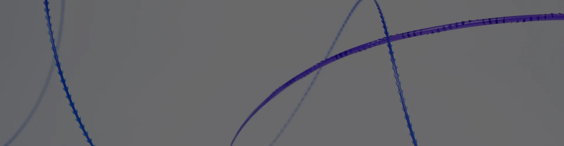 Absorbable Surgical Suture Manufacturer