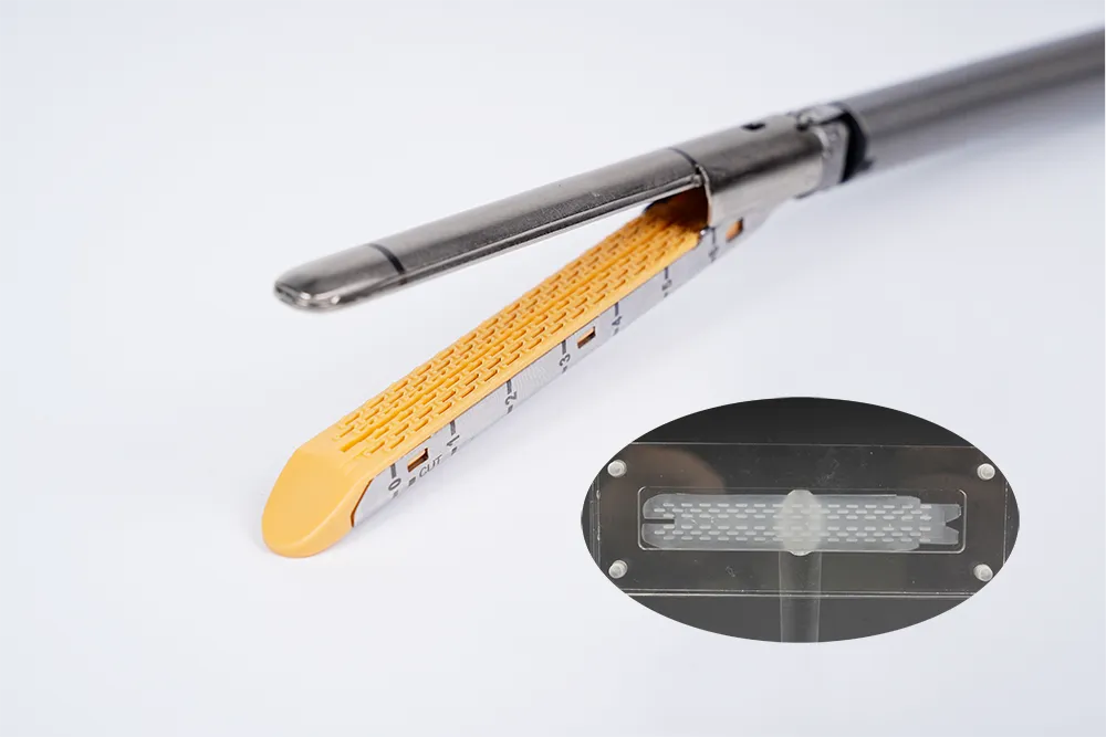 Endo Reload with Absorbable Reinforcement